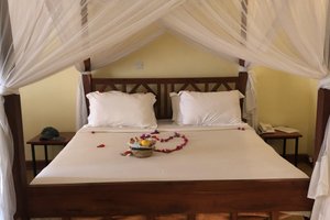 Room & Suite