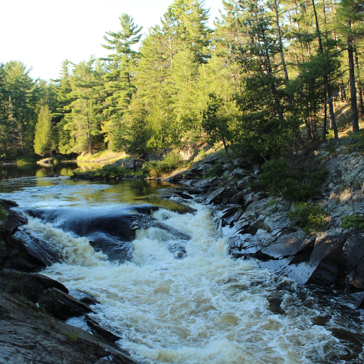 CHUTES PROVINCIAL PARK (Massey) - 2023 What to Know BEFORE You Go