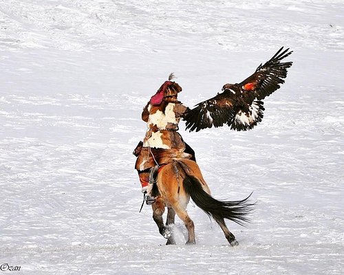 mongolia horseback riding tour