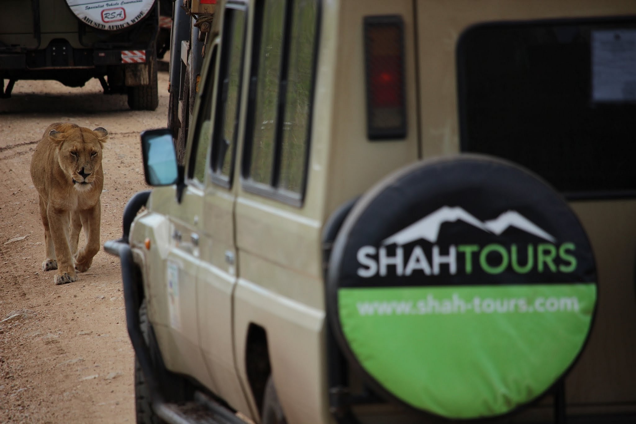 shah tours tripadvisor