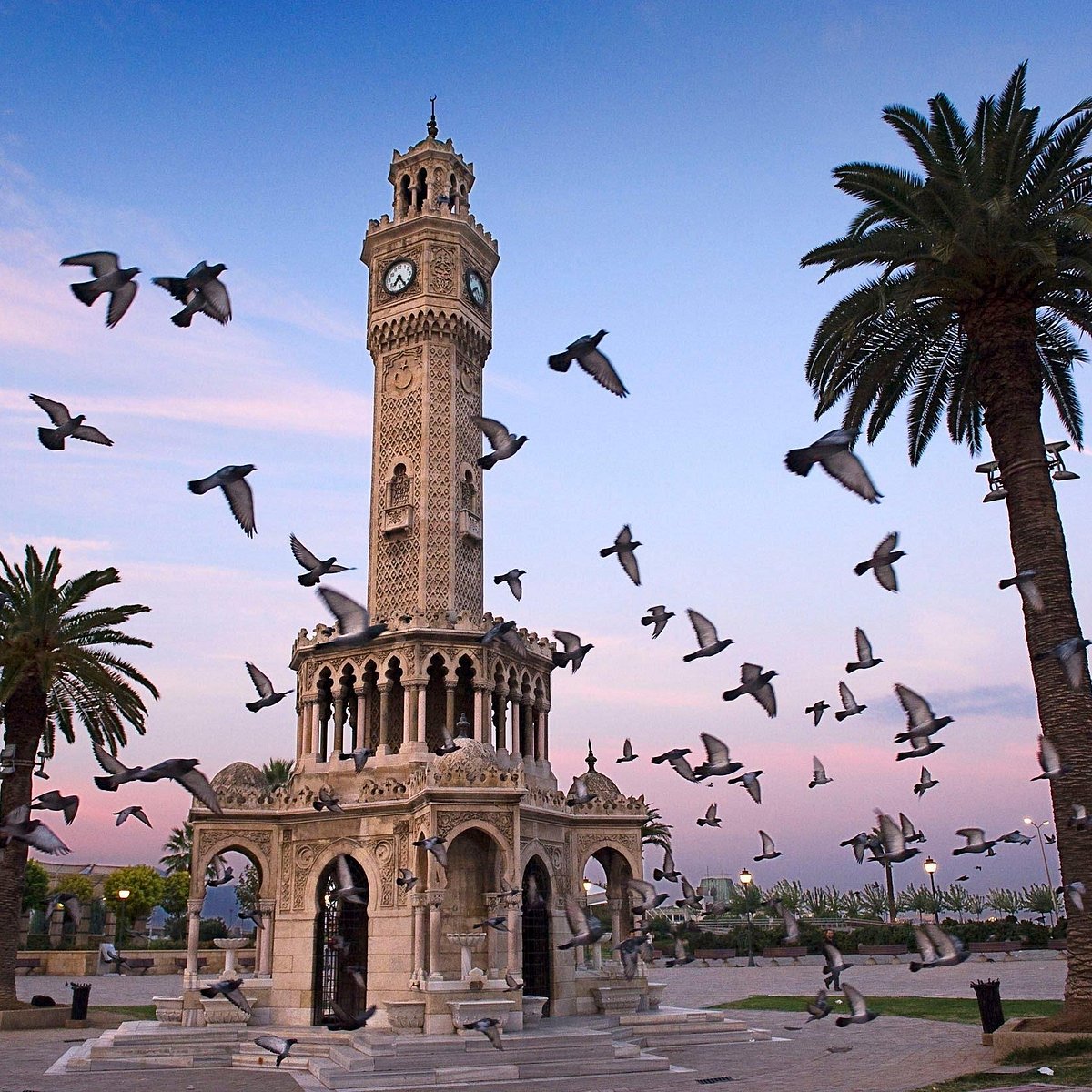 Izmir Private Tour Guide Türkiye Address Phone Number Tripadvisor 