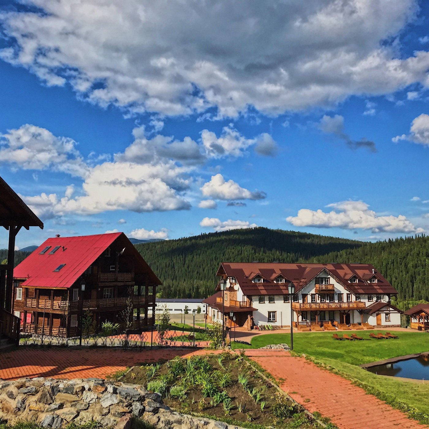 Горная саланга фото