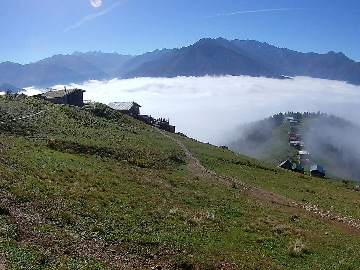 Pokut Турция