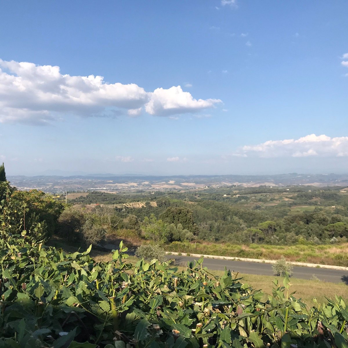 PODERE MORICCI - Farmhouse Reviews (Montaione, Italy - Tuscany)