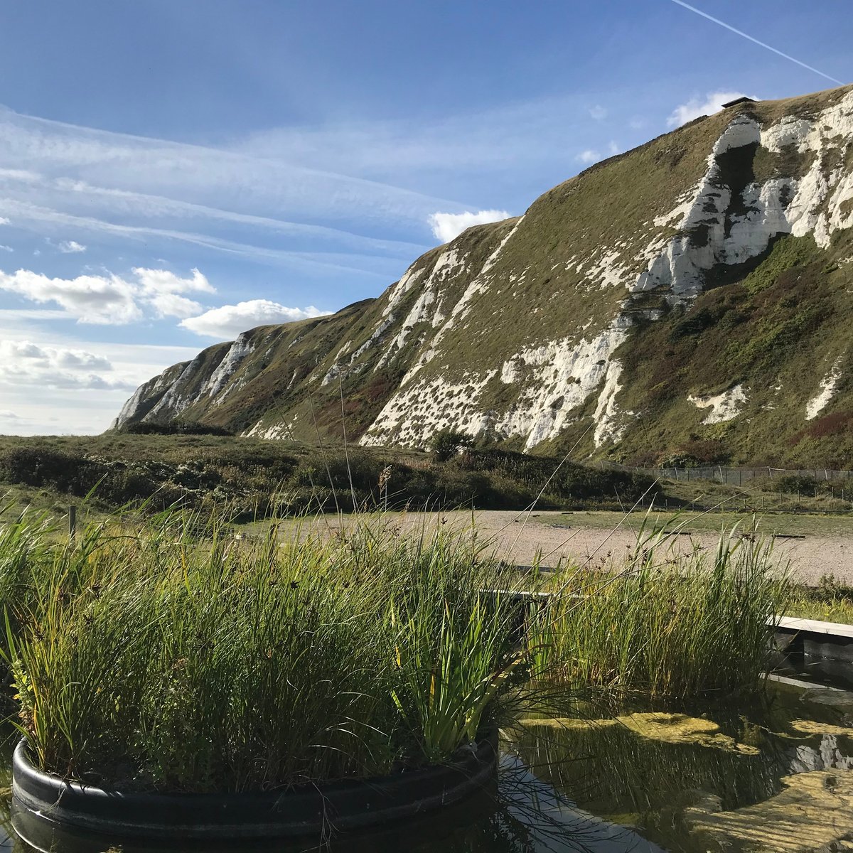 Samphire Hoe Douvres Ce Quil Faut Savoir Pour Votre Visite 2022