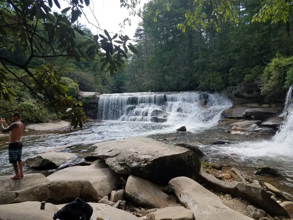 the hub pisgah forest