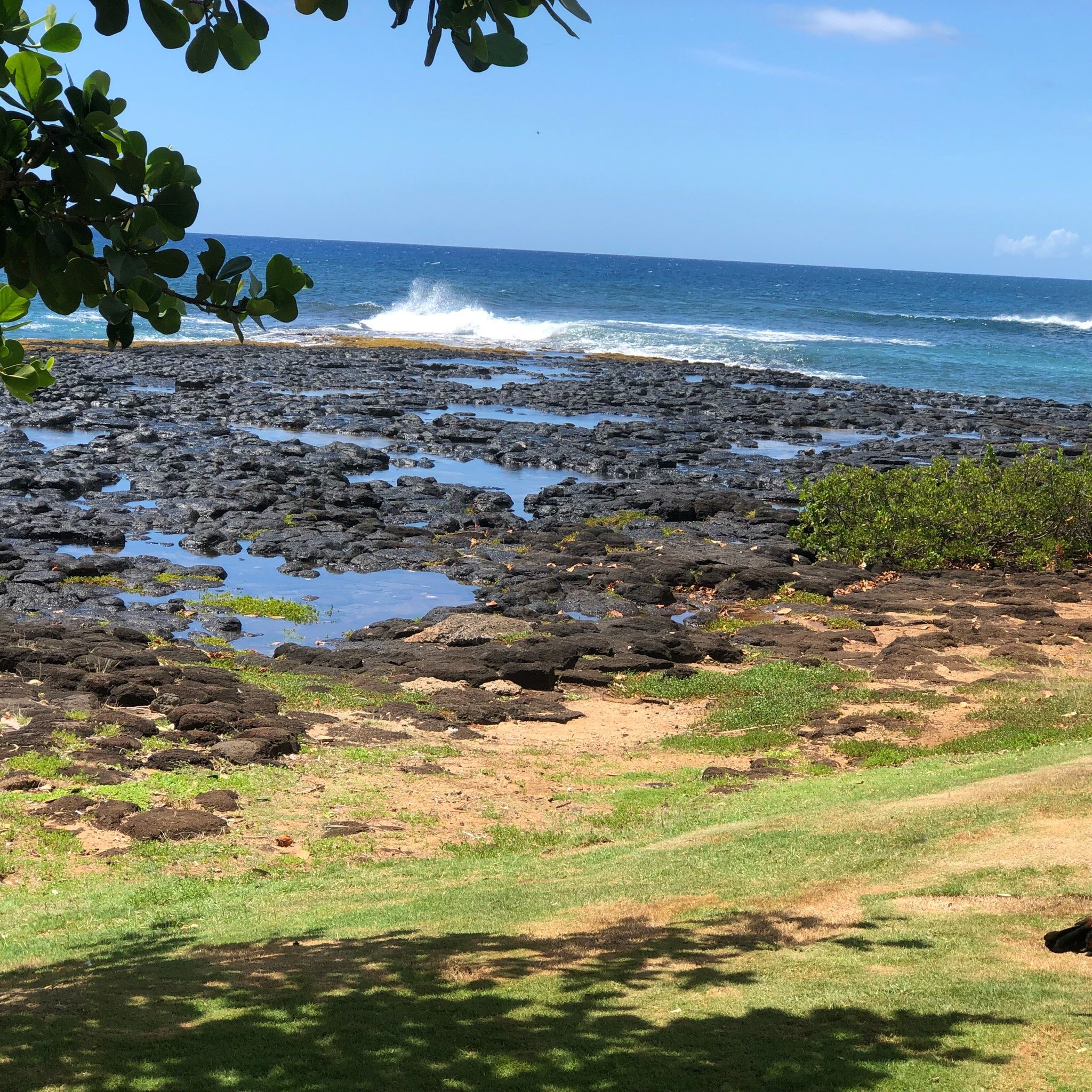 THE 15 BEST Things To Do In Koloa - UPDATED 2022 - Must See Attractions ...