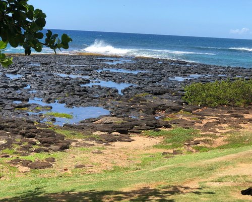 THE 15 BEST Things to Do in Koloa - 2021 (with Photos) - Tripadvisor