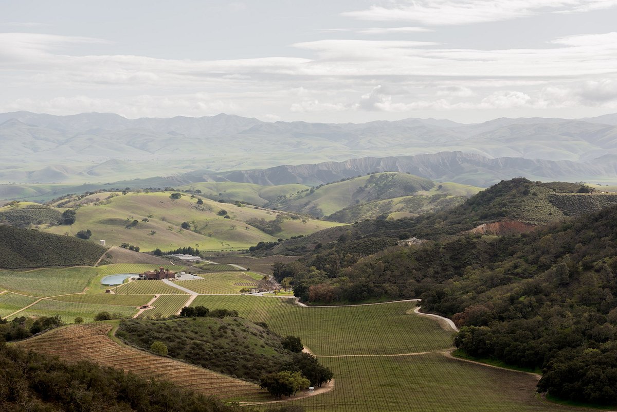 Gifts - Eden Rift Vineyards