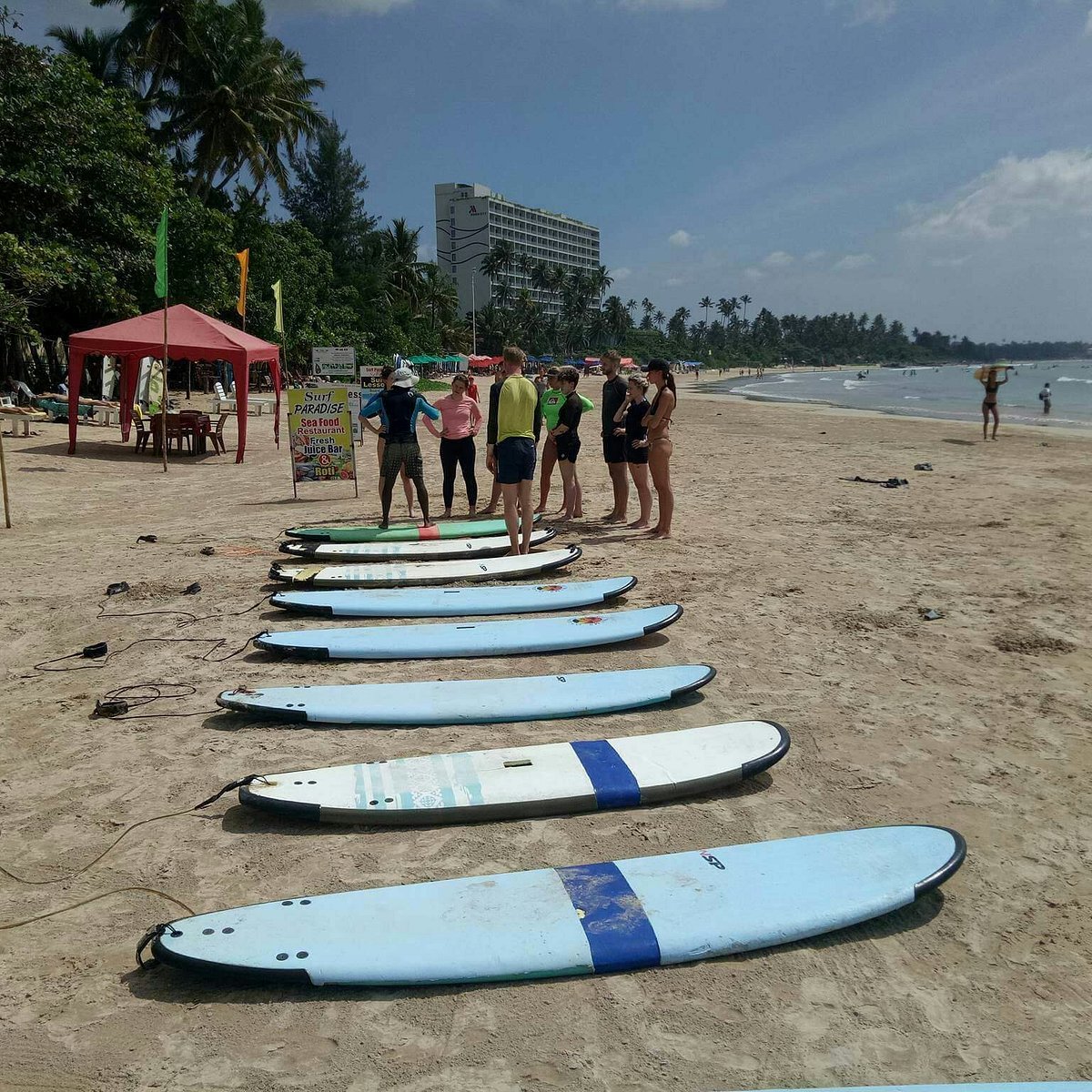 Blue Wave Surf School - All You Need to Know BEFORE You Go (2024)
