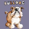 amicobulldog