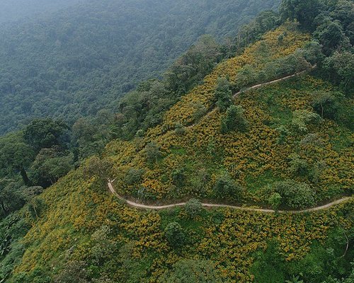 Top 10 Công viên & Điểm du lịch thiên nhiên ở Hà Nội - Tripadvisor