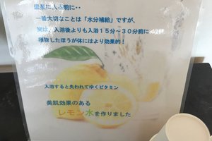 旅行者の写真