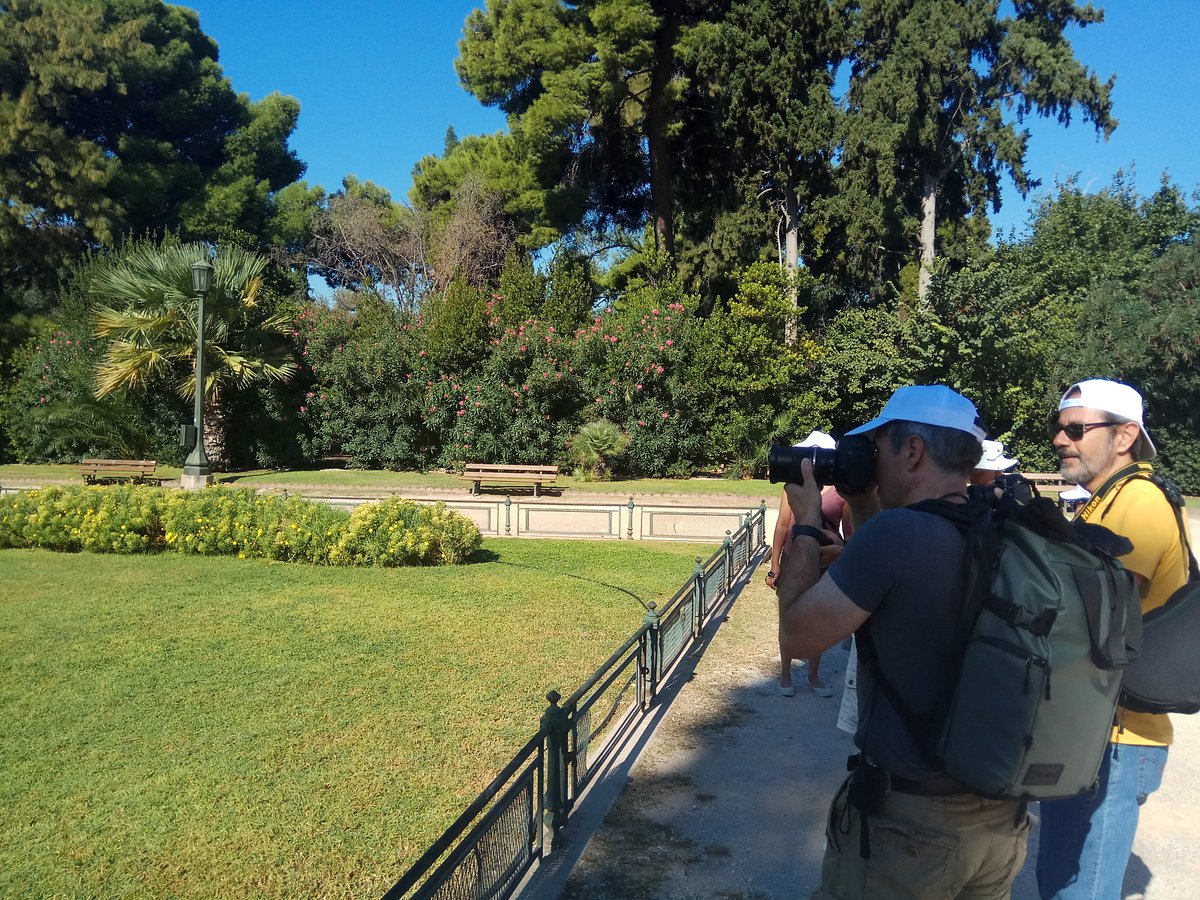 Athenian Tours Athen Aktuell Für 2022 Lohnt Es Sich Mit Fotos 6849