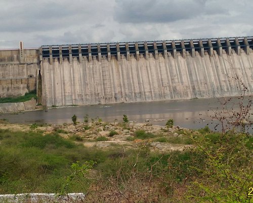 Crocodile Found in Himayat Sagar 