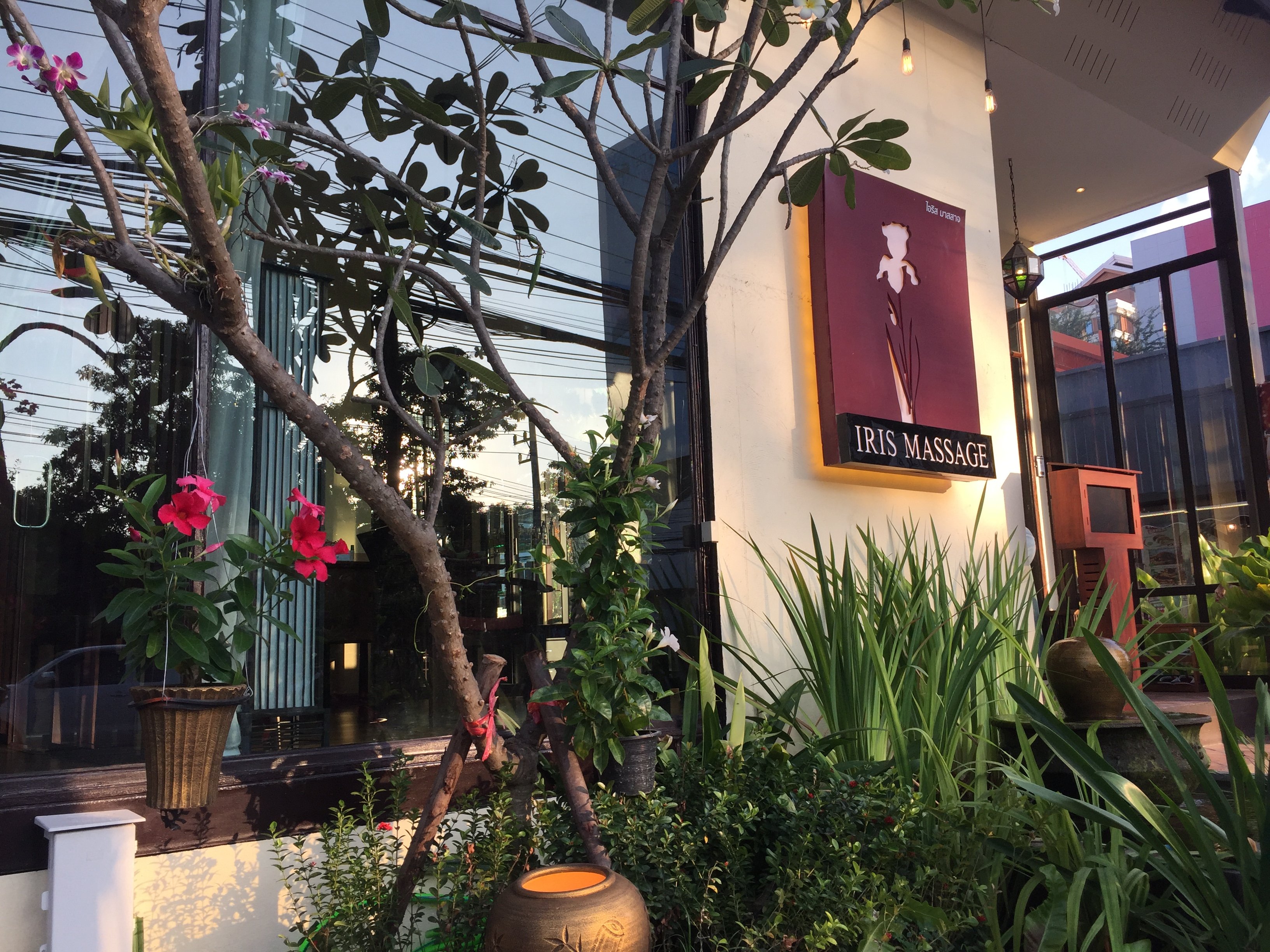 Iris Massage All You Need to Know BEFORE You Go 2025