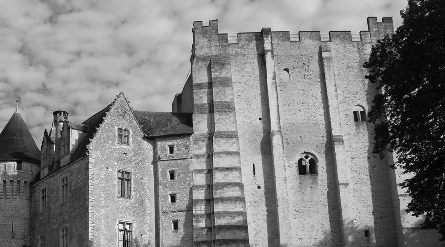 Vue prise de l'intérieur : le donjon, le corps de logis Renaissance et l'une des tours d'entée