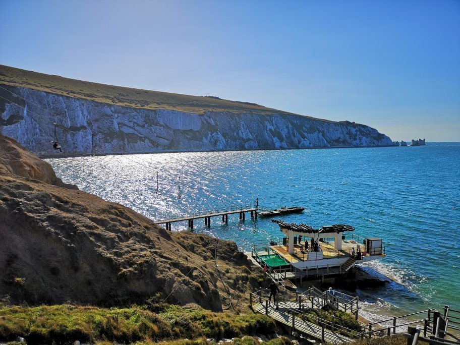 are dogs allowed at the needles