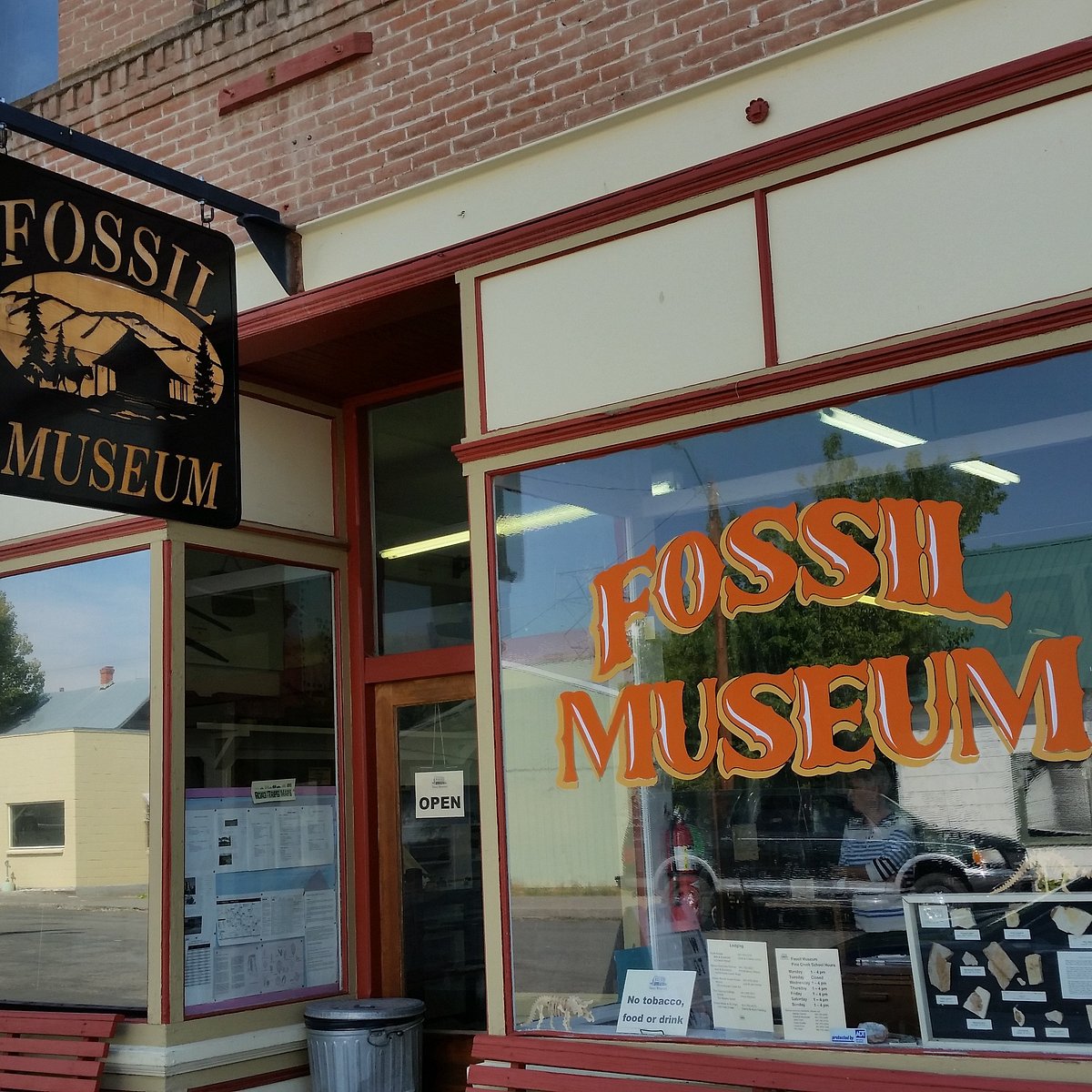 The Fossil Museum - All You Need to Know BEFORE You Go