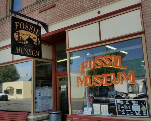 best fossil museums