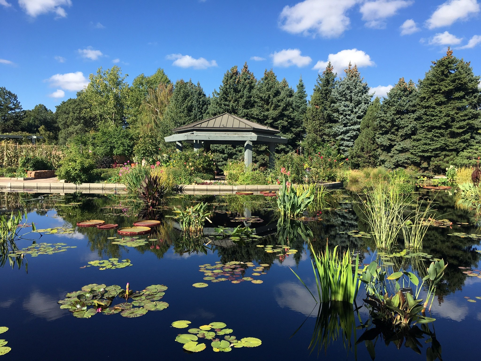 Denver Botanic Gardens All You Need to Know BEFORE You Go 2024