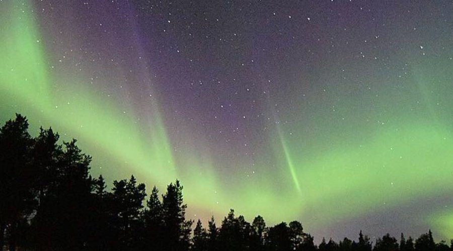 Northern lights at our camp