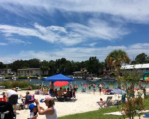 Crystal River Travel Guide: 5 Cool Things to Do in Crystal River