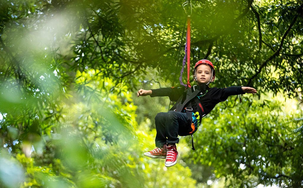 Rotorua Canopy Tours - All You Need to Know BEFORE You Go (2024)