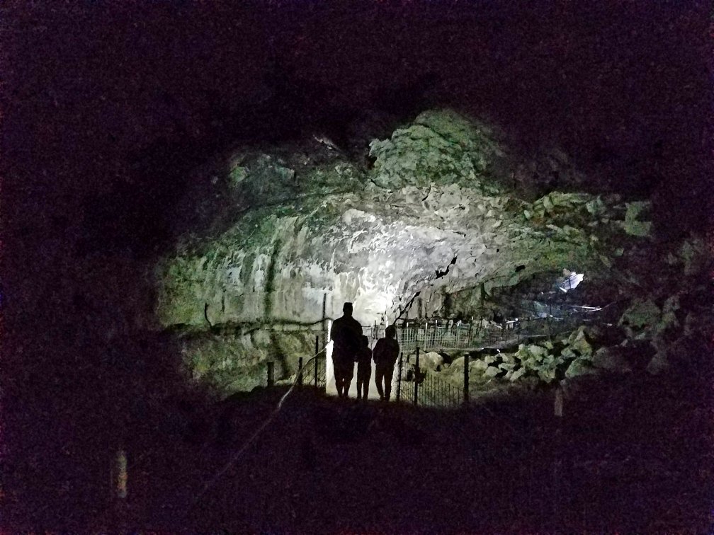 se permiten perros en la cueva del mamut