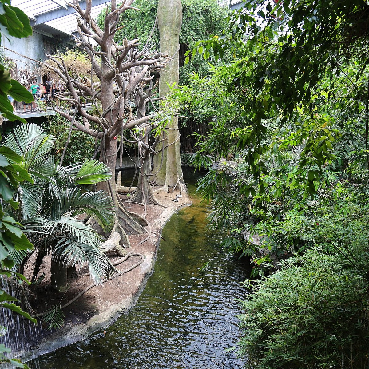 Henry Doorly Zoo (Omaha) 2023 Alles wat u moet weten VOORDAT je gaat