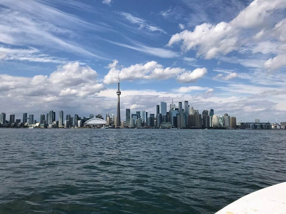 harbourfront powerboating