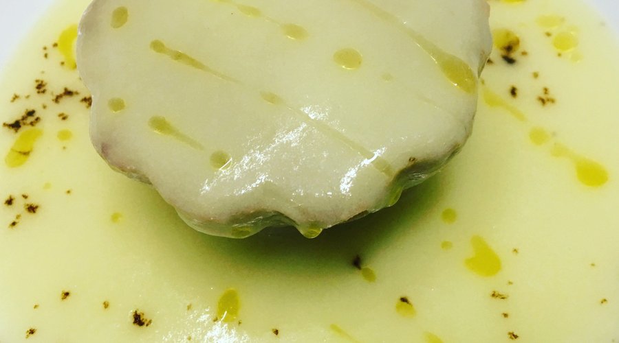 "il Pesce Dimenticato"