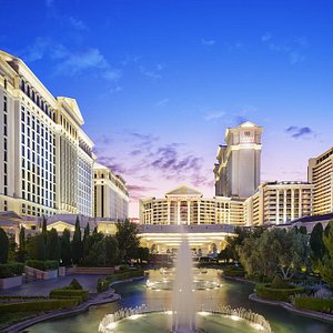 Burgundy Executive Suite, 1 king - Picture of Paris Las Vegas Hotel &  Casino, Paradise - Tripadvisor