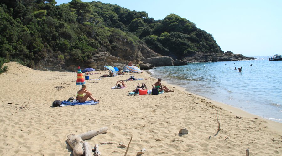 Banana Beach