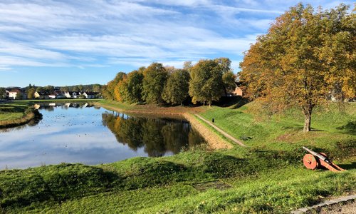Nice moat, guarded by canons all around.