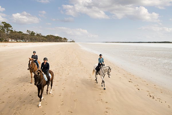 Experience the Magic of Horseback Riding on the Beach at Hilton Head Island, SC