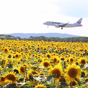 21年 大空町で絶対外さないおすすめ観光スポットトップ10 定番から穴場まで トリップアドバイザー