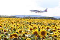 21年 大空町 ひまわり畑 行く前に 見どころをチェック トリップアドバイザー 21年 大空町 ひまわり畑 行く前に 見どころをチェック トリップアドバイザー