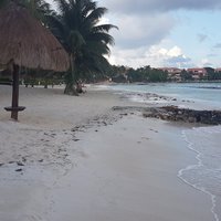 Fatima Bay (Puerto Aventuras) - All You Need to Know BEFORE You Go