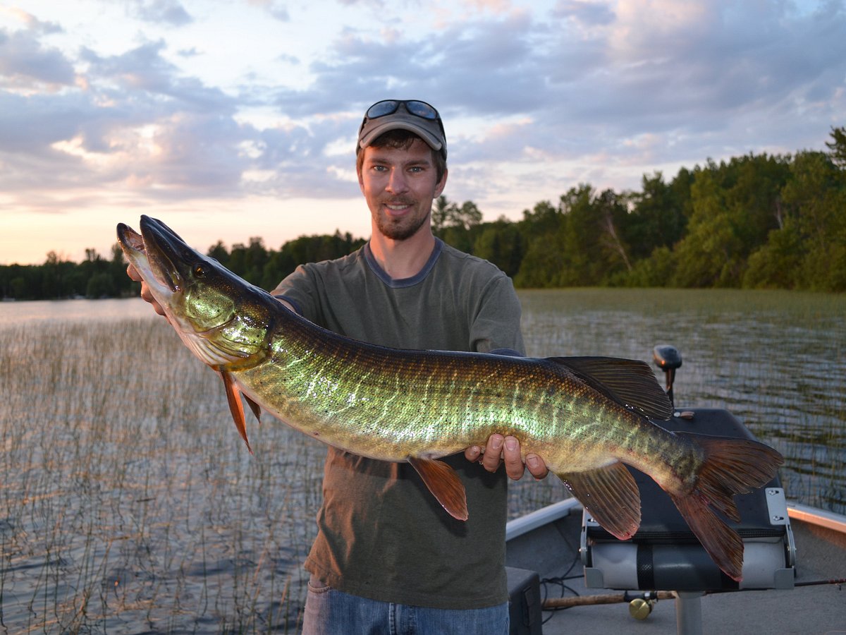 Caught My First Musky - Googan Squad Zinger - Northern Maine : r