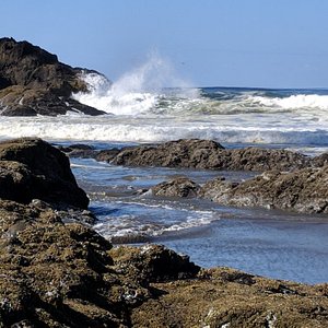 Ilwaco, WA 2023: Best Places to Visit - Tripadvisor