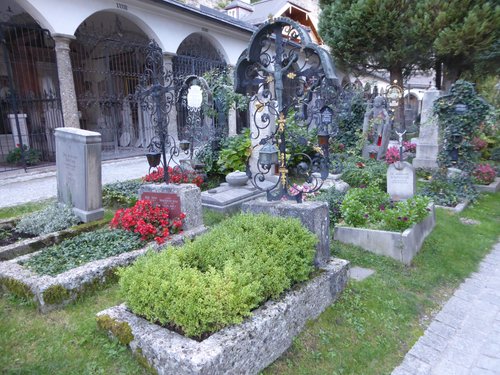 Wildlife Watching in Vienna Cemeteries