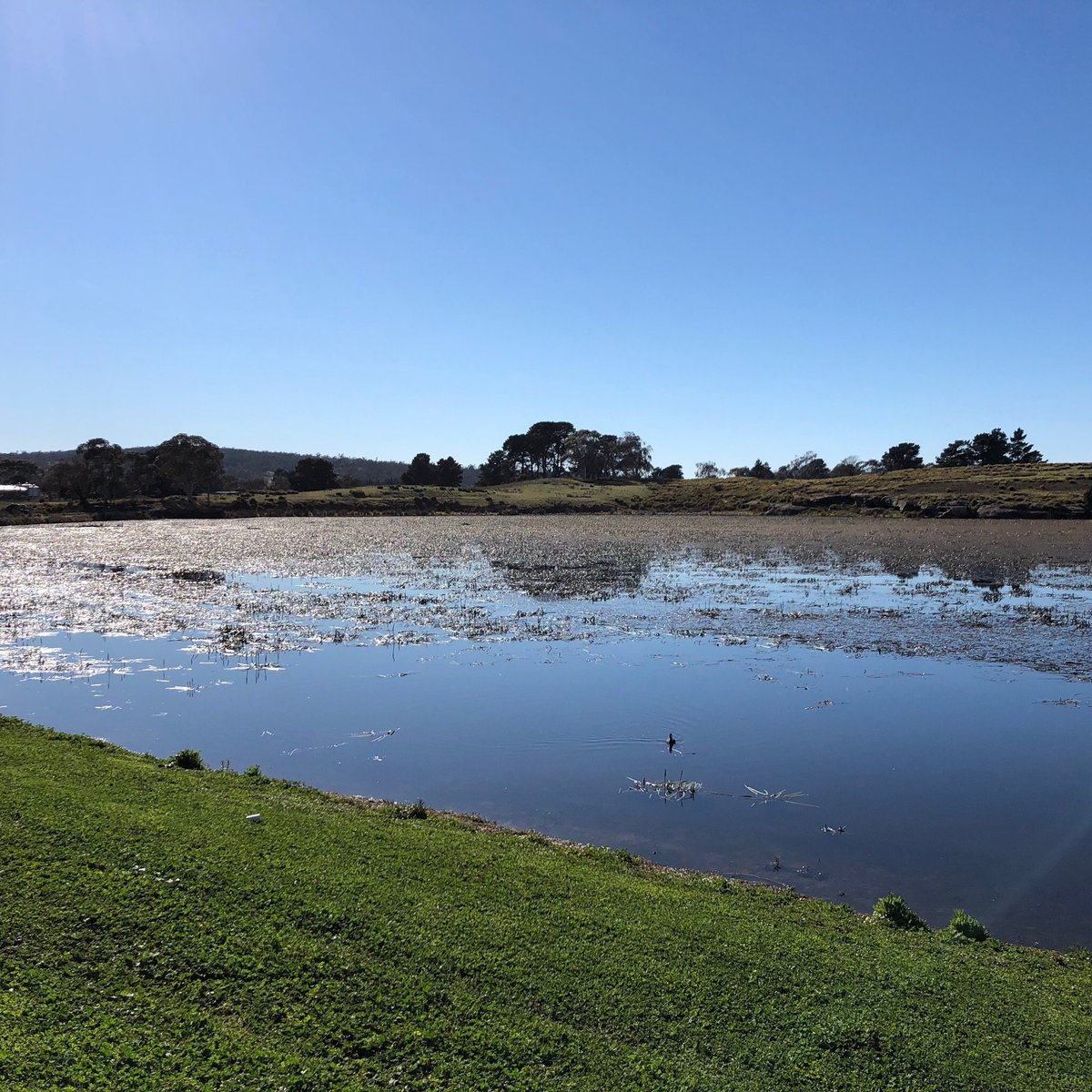 LAKE DULVERTON (Oatlands) - All You Need to Know BEFORE You Go