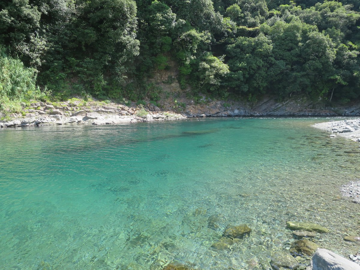 22年 加茂川 行く前に 見どころをチェック トリップアドバイザー