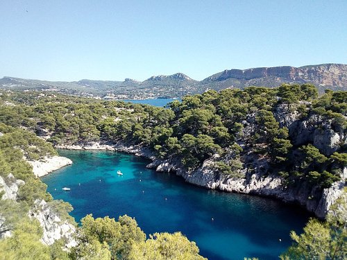 Top 5 des Parcs Animaliers en Provence