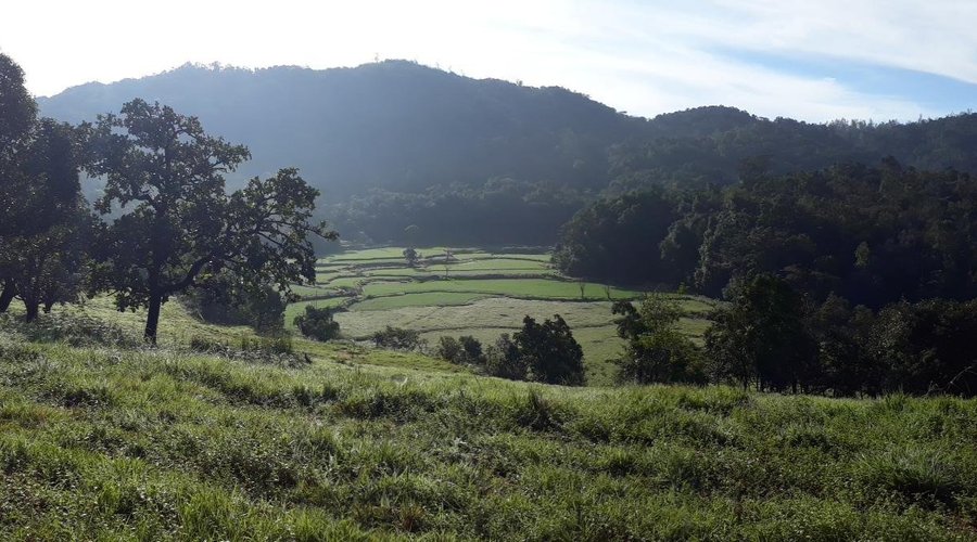 Fog clearing to make visible valley and paddy fields