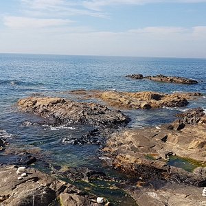 FADU - U.Porto dominou na pista de karts de Matosinhos