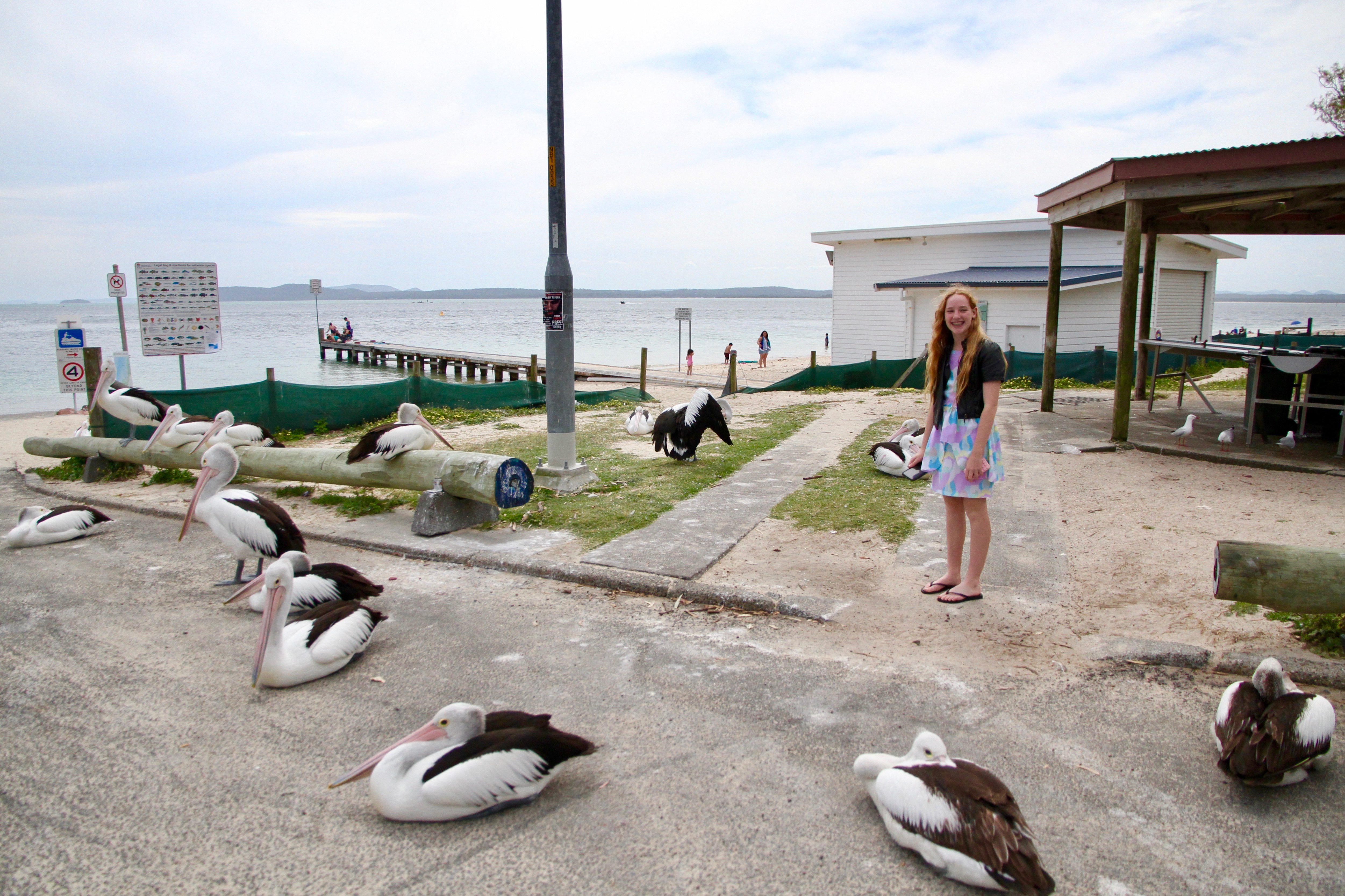 THE 15 BEST Things To Do In Nelson Bay - 2021 (with Photos) - Tripadvisor