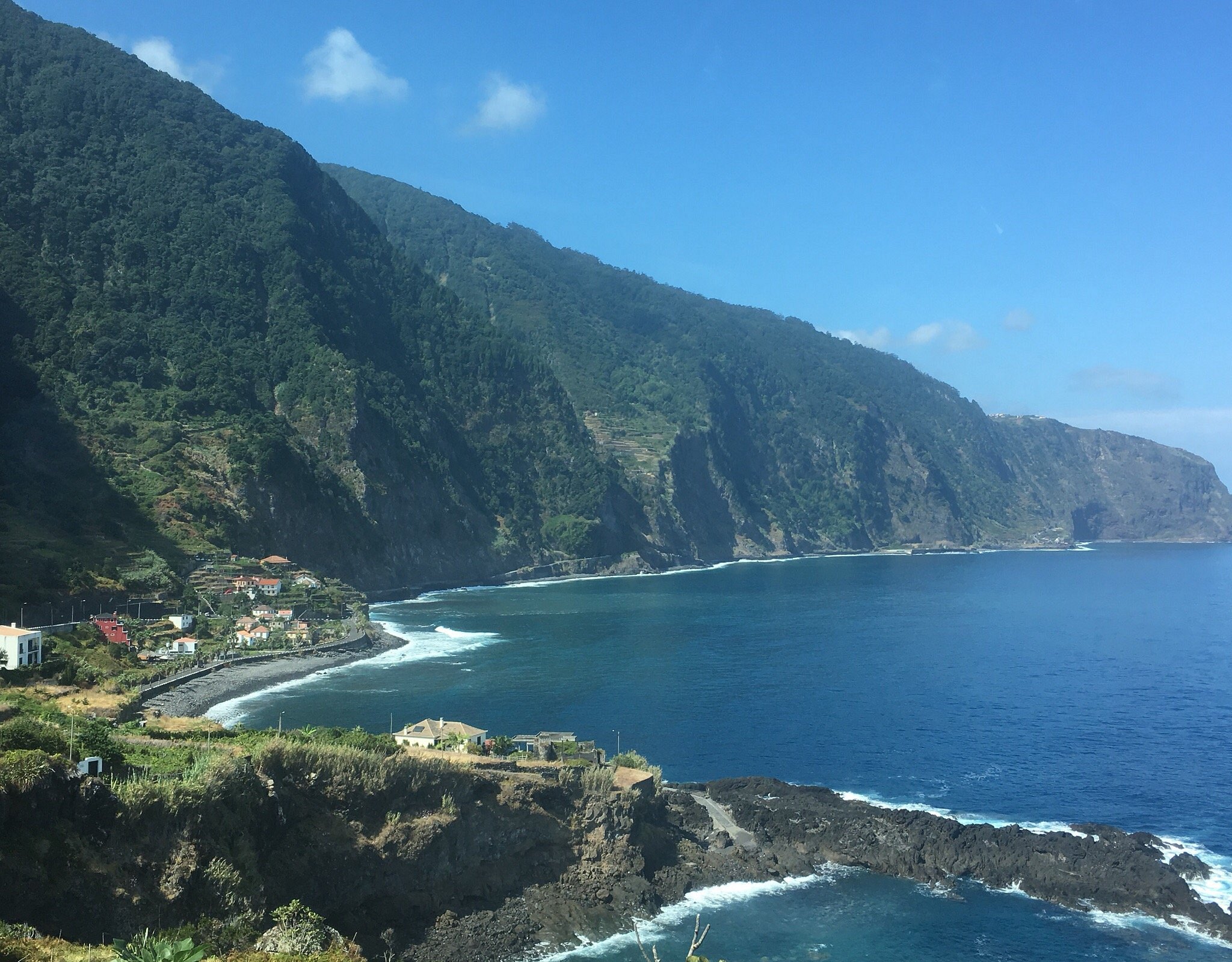 madeira sunrise tours reviews