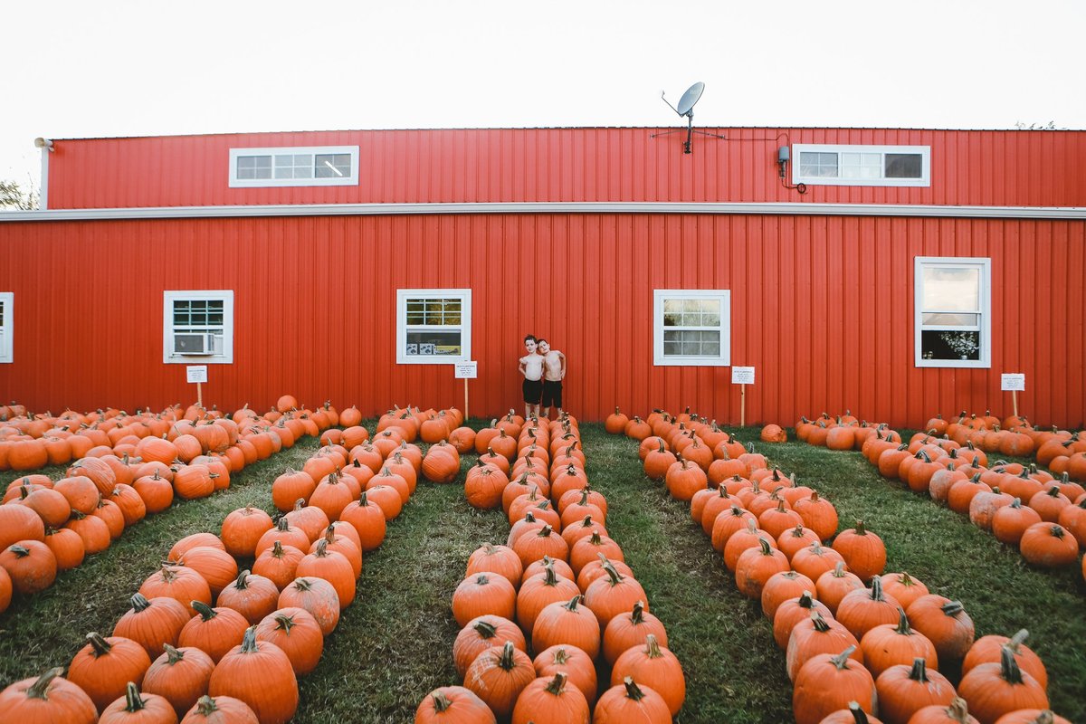 Lucky Ladd Farms - All You Need to Know BEFORE You Go (with Photos)